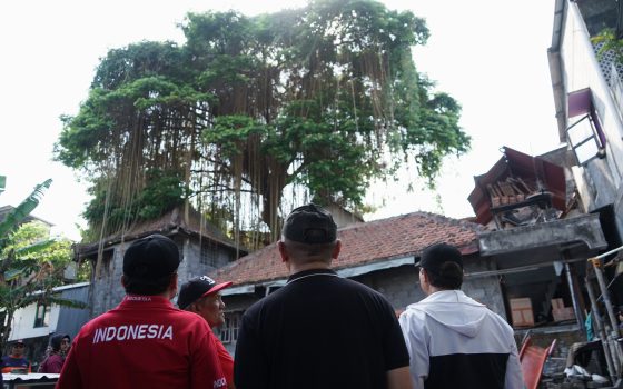 Wali Kota Yogyakarta Hasto Wardoyo saat meninjau pohon munggur di Kampung Ledoktukangan Minggu (9/8/2026).