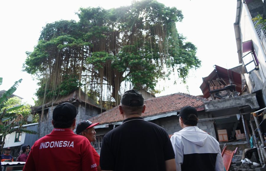 Wali Kota Yogyakarta Hasto Wardoyo saat meninjau pohon munggur di Kampung Ledoktukangan Minggu (9/8/2026).
